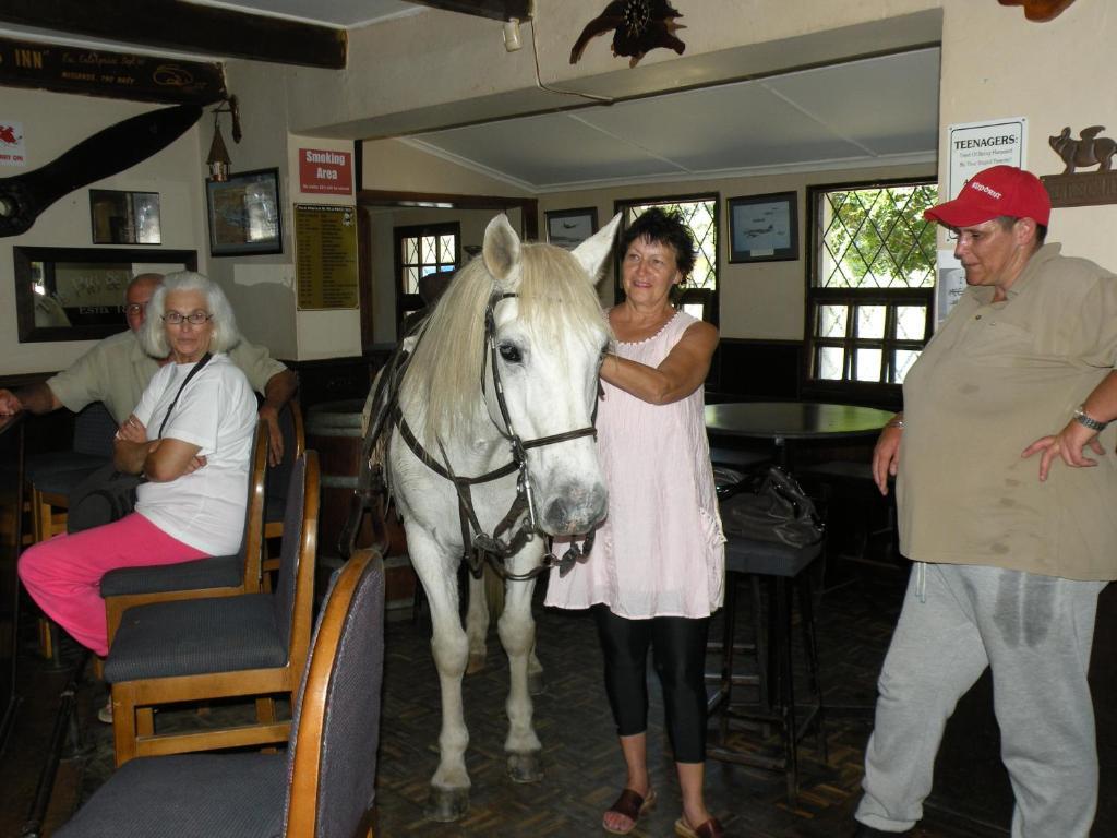 The Historic Pig And Whistle Inn Bathurst Buitenkant foto